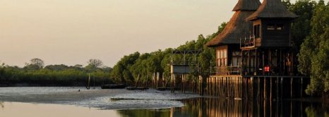 Holiday In Gambia