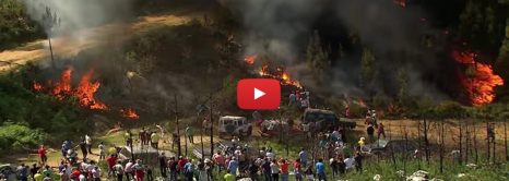 Rally Car Starts Forest Fire