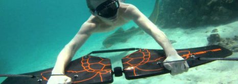 Subwing Diving