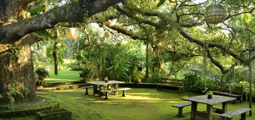 Holistic Wellness In San Benito