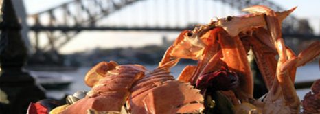 Sydney’s Best Eateries