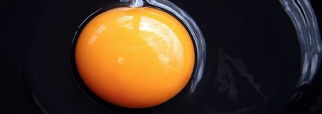 Why You Need To Eat More Egg Yolks