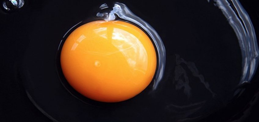 Why You Need To Eat More Egg Yolks