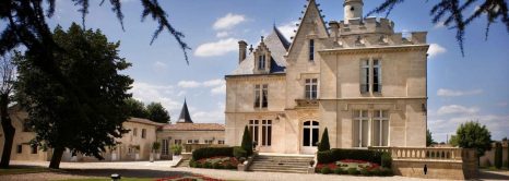 Luxury Bordeaux Wine Experience