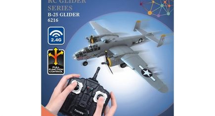 2.4G 2CH Radio Controlled Plane 6216