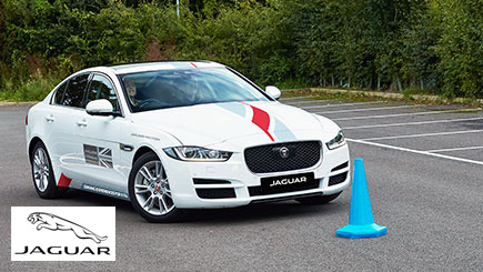 30 Minute Junior Jaguar Driving
