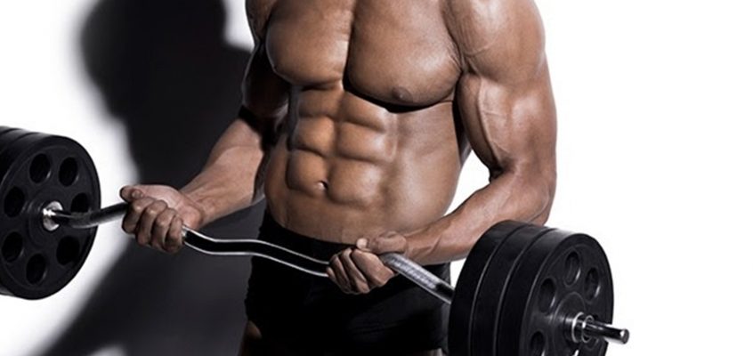 Will Anterior Core Training give you a six-pack?