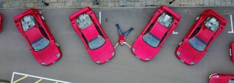 Italian Stallions at The Sharnbrook