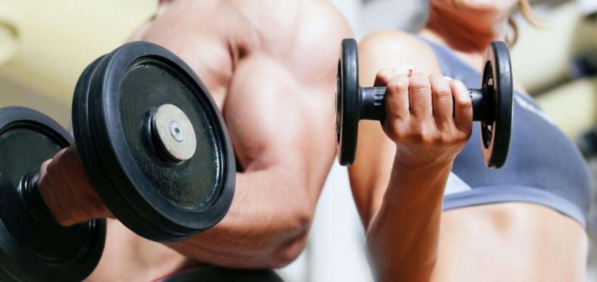 Your Guide to A Healthy And Active Lifestyle