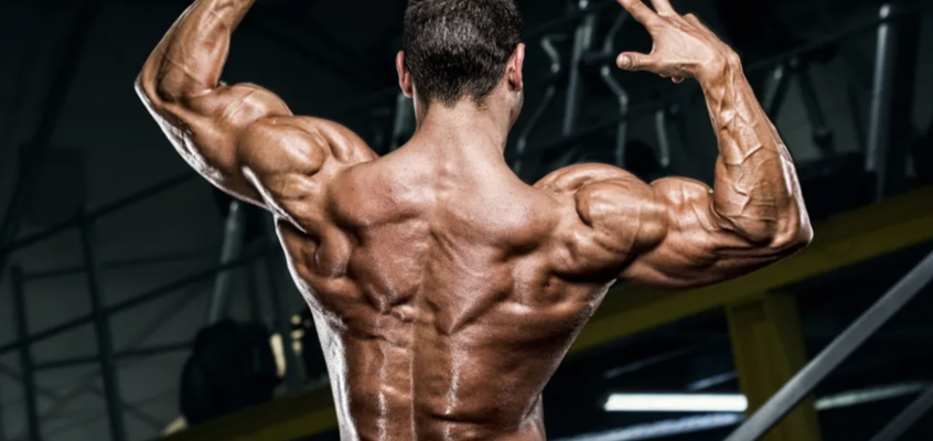 Building a Stronger Back: A Comprehensive Guide