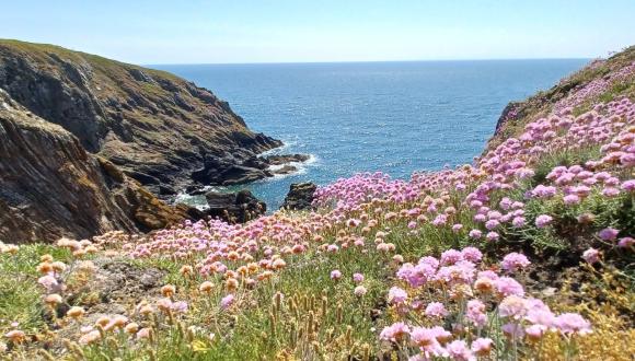 Join the Outer Hebrides Wildlife Festival!