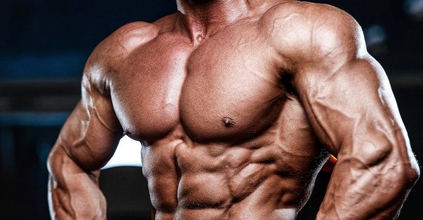 Crafting a Robust Chest: Unveiling the Ideal Exercise Technique