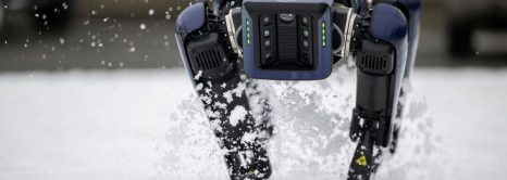 Alaska airport uses headless robot to deter bird strikes