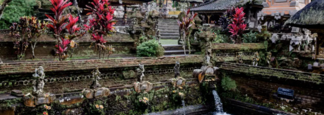 A Journey to the Heart of Ubud: Bali’s Hidden Gem