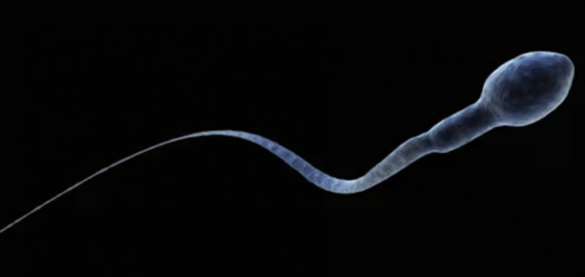 Assessing Sperm Health, Here’s How to Determine